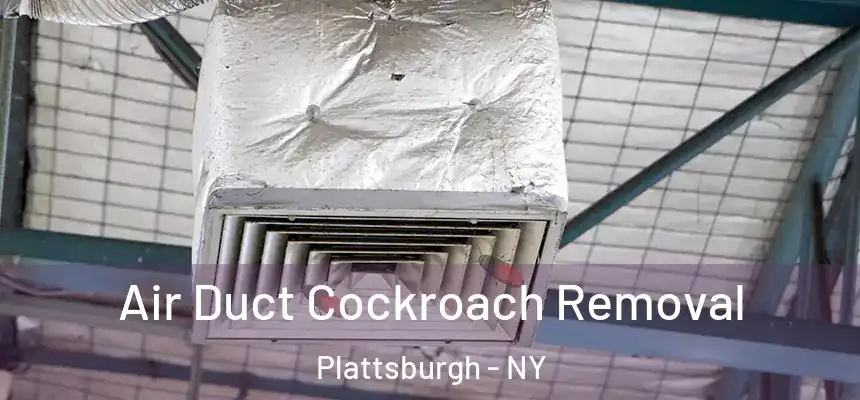  Air Duct Cockroach Removal Plattsburgh - NY