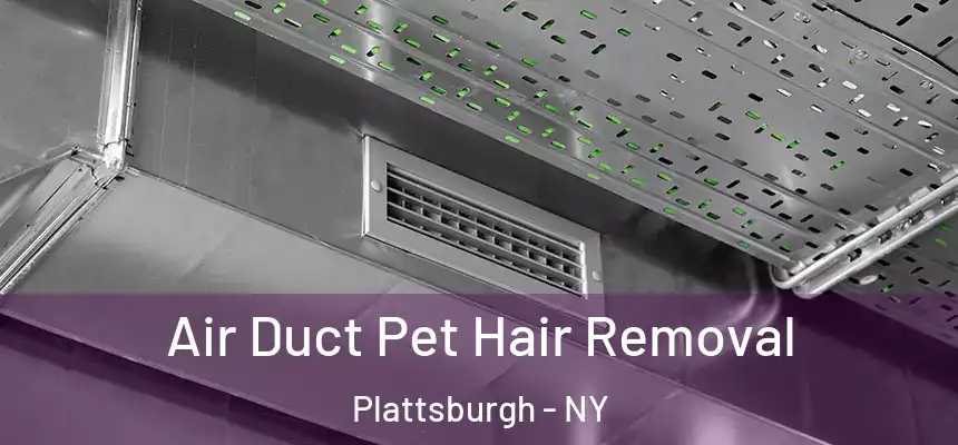 Air Duct Pet Hair Removal Plattsburgh - NY