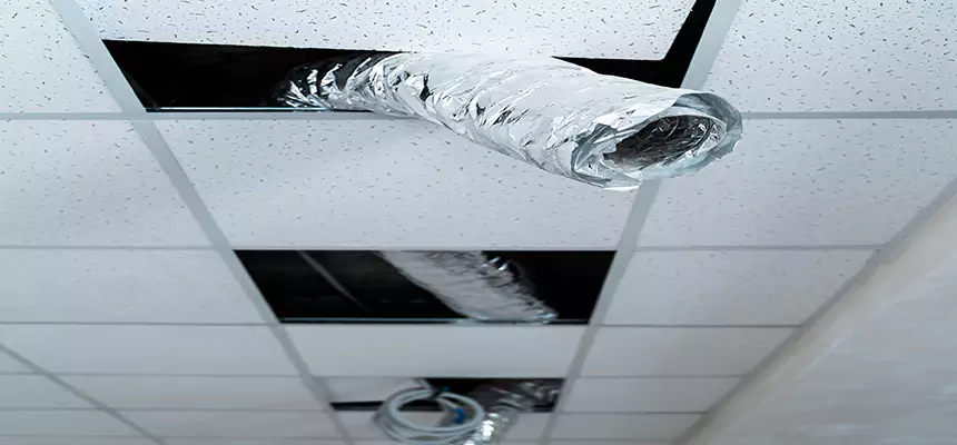 Our Air Duct Pet Hair Removal Services in Plattsburgh, NY