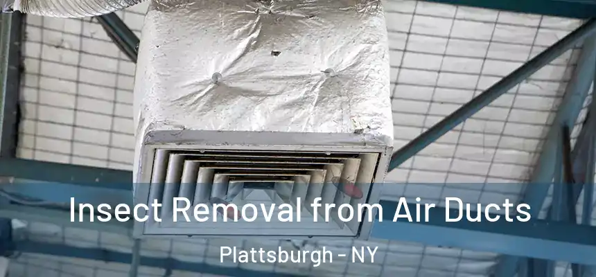  Insect Removal from Air Ducts Plattsburgh - NY