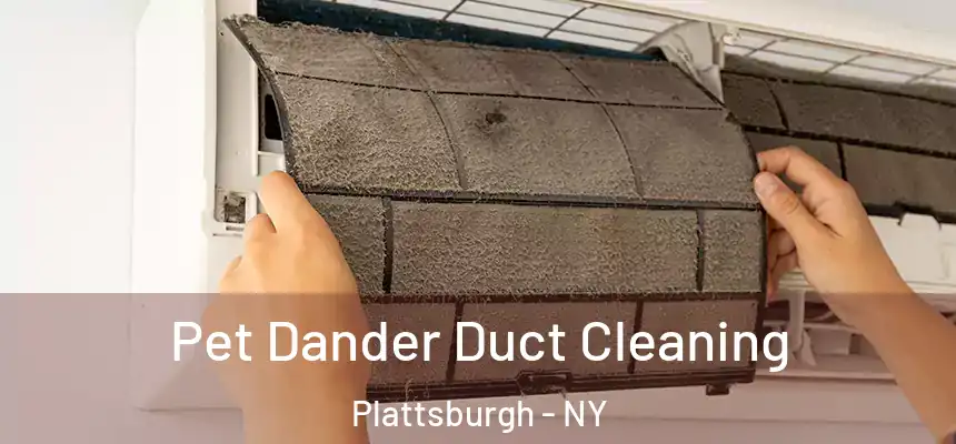  Pet Dander Duct Cleaning Plattsburgh - NY
