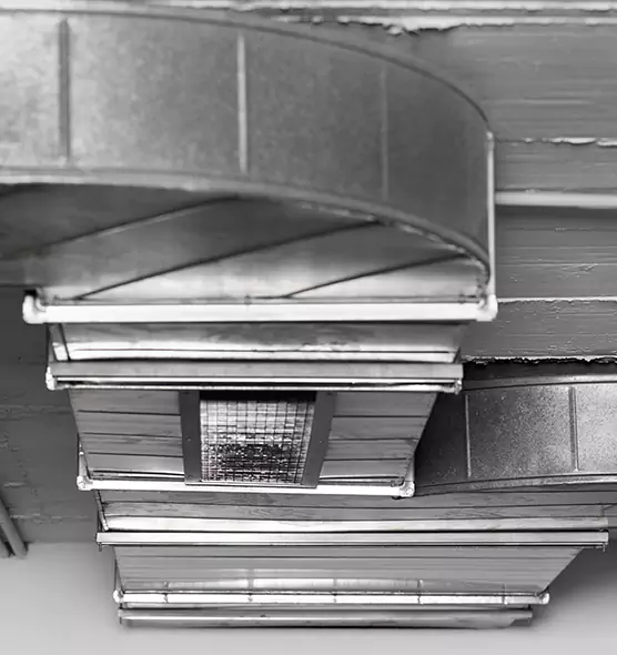 Professional Air Duct Pest Removal in Plattsburgh, NY