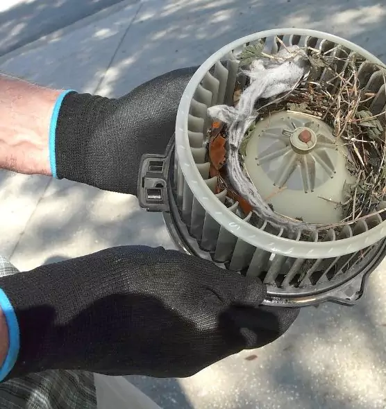 About Air Duct Rat Removal in Plattsburgh, NY