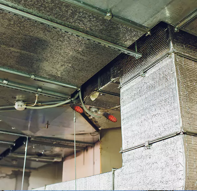 Why Homeowners & Businesses Trust Us in Plattsburgh, NY?