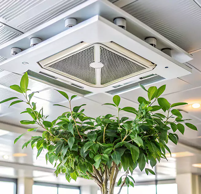 Why Homeowners & Businesses Trust Us in Plattsburgh, NY?